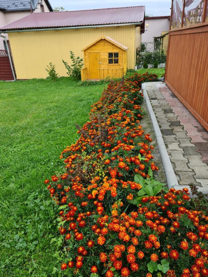 Rodzinny Apartament Na Kaszubach Brusy المظهر الخارجي الصورة